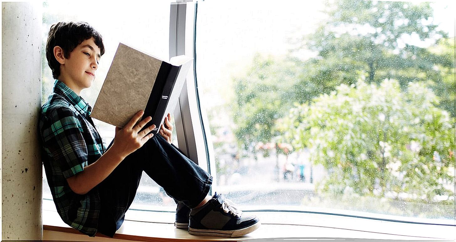 boy reading a book in the bedroom window