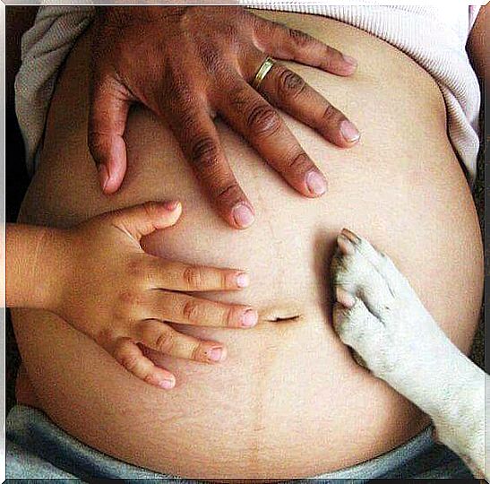 dog during pregnancy