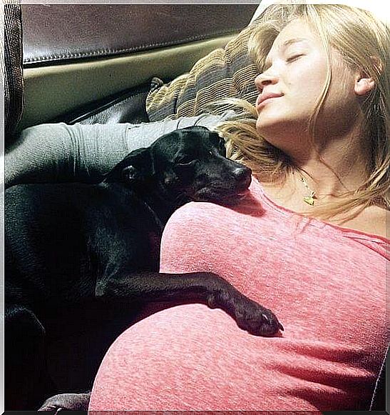 dog during pregnancy