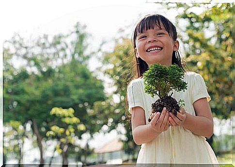 Como criar um sistema de cultivo hidropônico em casa